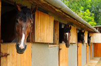 free Stoke Mandeville stable construction quotes